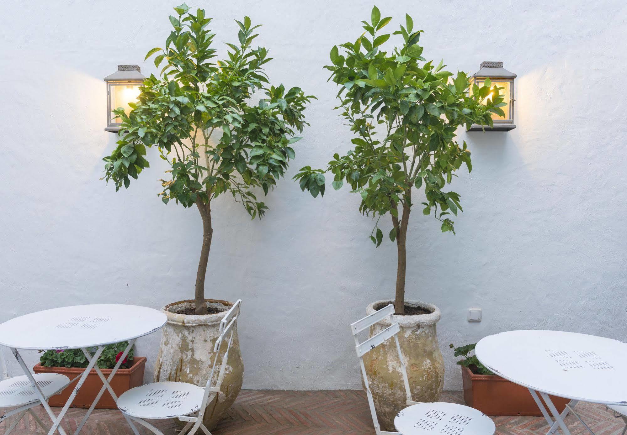 Casa Shelly Hospederia Hotell Vejer de la Frontera Eksteriør bilde